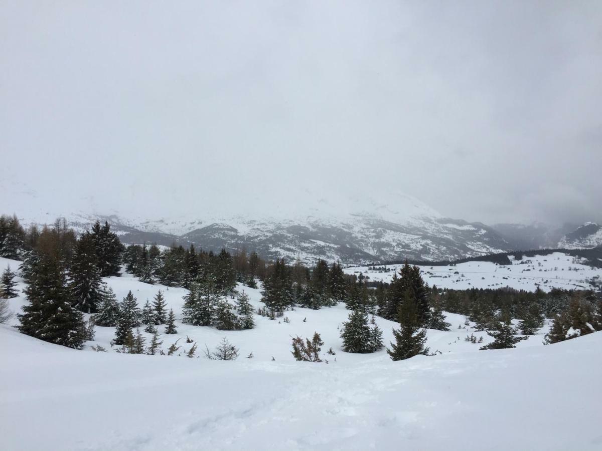 La Joue Du Loup, Aux Pieds Des Pistes Et Vue Sur Montagnes Lejlighed Eksteriør billede