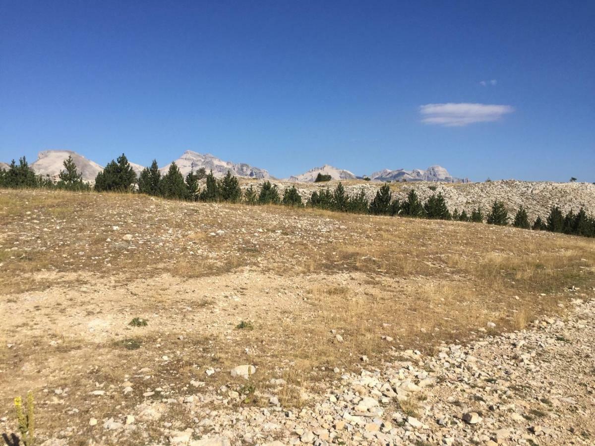 La Joue Du Loup, Aux Pieds Des Pistes Et Vue Sur Montagnes Lejlighed Eksteriør billede